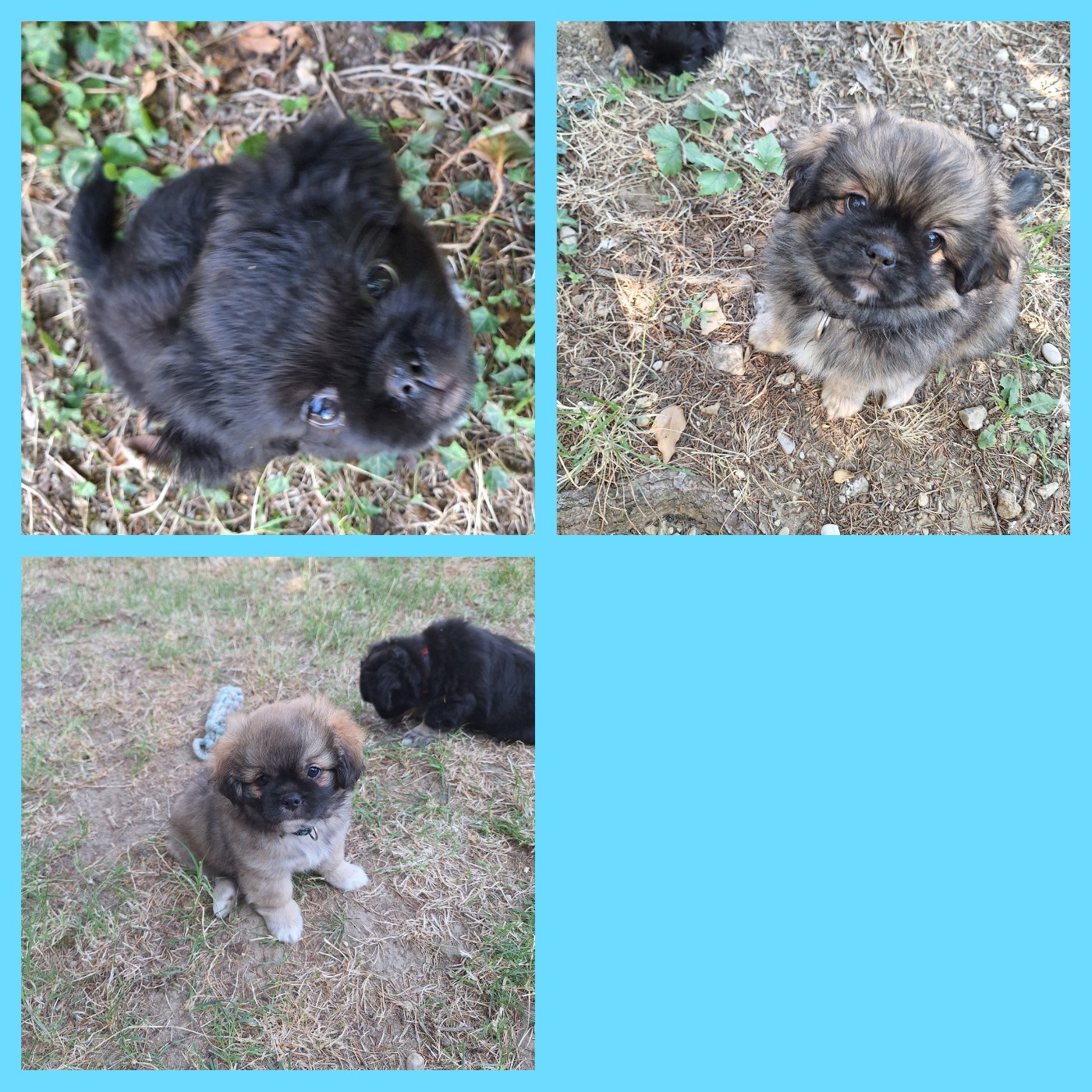MES PETITS JARDINIERS