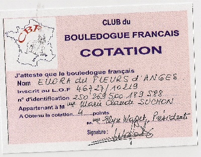 Du Berceau D'Ellora - CARTON COTATION 4 ELLORA